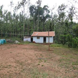 Clover Leaf Home Stay, Chikmaglur 1